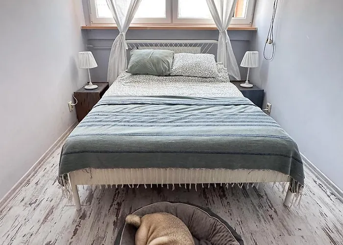 Sloneczny W Kudowie Zdroj 아파트